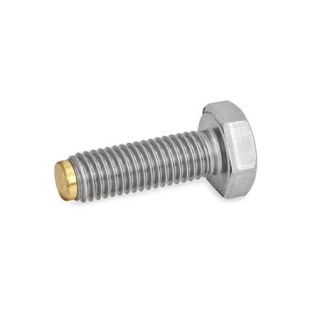 GN-933.5-Hex-Head-Screws-Stainless-Steel-MS-Brass-pivot