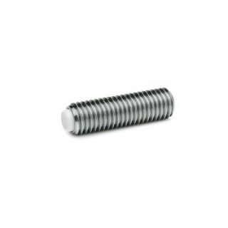 GN-913.5-Grub-screws-with-brass-plastic-pivot-Stainless-Steel-KU-Plastic-Polyacetal-POM