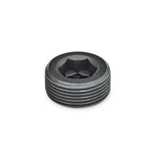 GN-252-Blanking-plugs-Steel-A-Without-thread-coating