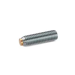 GN-913.5-Grub-screws-with-brass-plastic-pivot-Stainless-Steel-MS-Brass