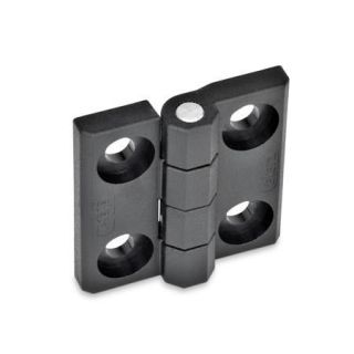 GN-237.1-Hinges-Plastic-2x2-bores-for-socket-cap-screws