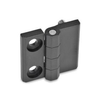 GN-237.1-Hinges-Plastic-2x-bores-for-socket-head-cap-screws-2x-threaded-studs